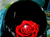 IMG_1592.jpg