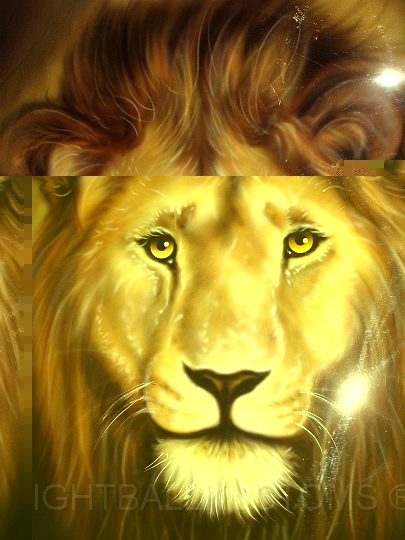 LION1